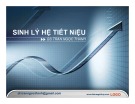 Bài giảng Sinh lý học: Sinh lý hệ tiết niệu - BS. Trần Ngọc Thanh