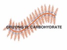 Bài giảng Hóa sinh đại cương - Chương 6: Carbohydrate