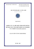 Luận án Tiến sĩ Công nghệ Sinh học: Nghiên cứu các điều kiện stress môi trường đến khả năng tổng hợp exopolysaccharides của vi khuẩn Lactobacillus plantarum