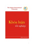 Khóa luận tốt nghiệp ngành Quản trị kinh doanh: Nghiên cứu sự hài lòng của khách hàng khi mua sắm trực tuyến tại website Gianhangvn.com trên địa bàn Tp. Hồ Chí Minh