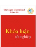 Khóa luận tốt nghiệp ngành Kinh tế đối ngoại: Giải pháp phát triển dịch vụ logistics tại Công ty Cổ phần Tiếp Vận Hàng Hóa Việt