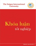 Khóa luận tốt nghiệp ngành Kinh tế đối ngoại: Giải pháp phát triển hoạt động giao nhận hàng hóa nhập khẩu chuyển phát nhanh bằng đường hàng không tại công ty TNT-Vietrans Express Worldwide giai đoạn 2016-2020