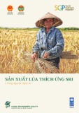 Sản xuất lúa thích ứng SRI ở Hưng Nguyên, Nghệ An