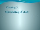 Bài giảng Quản trị hiện đại - Chương 3: Môi trường tổ chức