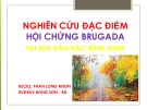 Bài giảng Nghiên cứu đặc điểm hội chứng Brugada tại địa bàn Bắc Bình Định - BSCK2. Phan Long Nhơn