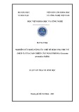 Luận văn Thạc sĩ Sinh học: Nghiên cứu khả năng ức chế tế bào ung thư vú (MCF-7) của cao chiết cây ngải trắng (Curcuma aromatica Salisb)