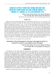 Đánh giá sự phát triển của trứng giun đũa chó Toxocara canis trong các môi trường Formol 1%, Formol 2%, Formol 4% và acid sunfuric 0,1N