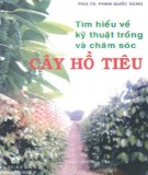 Hướng dẫn kỹ thuật trồng cây hồ tiêu