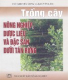 Trồng cây đặc sản dưới tán rừng và cây nông nghiệp: Phần 1