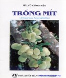 Hướng dẫn kỹ thuật trồng mít