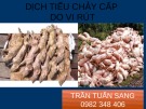 Bài giảng Dịch tiêu chảy cấp do vi rút - Trần Tuấn Sang