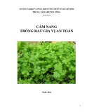 Cẩm nang trồng rau gia vị an toàn