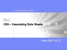 Bài giảng Thiết kế và lập trình Web - Bài 3: Casscading Style Sheets