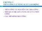 Bài giảng Kinh tế học lao động - Chương 3: Tiền công và năng suất lao động