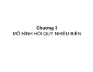 Bài giảng Kinh tế lượng - Chương 3: Mô hình hồi quy nhiều biến