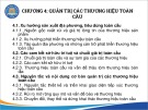 Bài giảng Quản trị thương hiệu 2 - Chương 4: Quản trị các thương hiệu toàn cầu