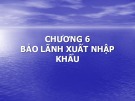 Bài giảng Thanh toán quốc tế và tài trợ xuất nhập khẩu - Chương 6: Bảo lãnh xuất nhập khẩu