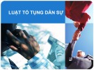 Bài giảng Luật Tố tụng dân sự - Chương 1: Khái quát về luật tố tụng dân sự Việt Nam