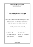 Khóa luận tốt nghiệp Kinh tế: Phát triển thương mại mặt hàng gạch ốp lát của Công ty Cổ phần Danco Hải Phòng trên thị trường thành phố Hải Phòng