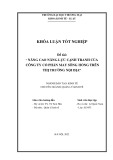 Khóa luận tốt nghiệp Kinh tế: Nâng cao năng lực cạnh tranh của Công ty Cổ phần May Sông Hồng trên thị trường nội địa
