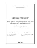 Khóa luận tốt nghiệp Kinh tế: Chính sách phát triển kinh tế nông thôn trên địa bàn thành phố Điện Biên Phủ