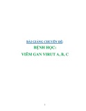 Bài giảng chuyên đề: Bệnh học - Viêm gan virut A,B,C