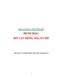 Bài giảng chuyên đề: Bệnh học - Hở van động mạch chủ