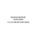 Bài giảng chuyên đề: Ngôi chỏm và cơ chế đẻ ngôi chỏm