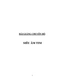 Bài giảng chuyên đề: Siêu âm tim