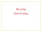 Bài giảng Kinh tế lượng (8 chương)