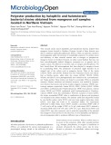 Polyester production by halophilic and halotolerant bacterial strains obtained from mangrove soil samples located in Northern Vietnam