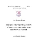 Luận án Tiến sĩ Y học: Hiệu quả điều trị sâu răng hàm vĩnh viễn giai đoạn sớm bằng ClinproTM XT Varnish