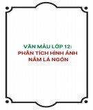 Văn mẫu lớp 12: Phân tích hình ảnh nắm lá ngón