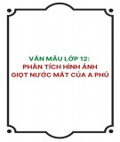 Văn mẫu lớp 12: Phân tích hình ảnh giọt nước mắt của A Phủ