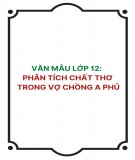 Văn mẫu lớp 12: Phân tích chất thơ trong Vợ chồng A Phủ