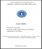 Giáo trình Cây màu (Nghề: Khoa học cây trồng - Cao đẳng): Phần 2 - Trường Cao đẳng Cộng đồng Đồng Tháp