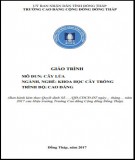 Giáo trình Cây lúa (Nghề: Khoa học cây trồng - Cao đẳng): Phần 1 - Trường Cao đẳng Cộng đồng Đồng Tháp