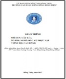 Giáo trình Cây lúa (Nghề: Bảo vệ thực vật - Cao đẳng): Phần 2 - Trường Cao đẳng Cộng đồng Đồng Tháp