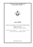 Giáo trình Bảo dưỡng và sửa chữa hệ thống phanh (Nghề: Công nghệ ô tô - CĐ/TC) - Trường Cao đẳng nghề Đồng Tháp