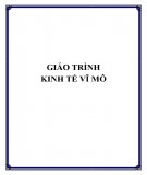 Giáo trình Kinh tế vĩ mô (26 trang)