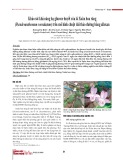 Khảo sát khả năng hạ glucose huyết của lá Xuân hoa răng (Pseuderanthemum crenulatum) trên mô hình chuột đái tháo đường bằng alloxan