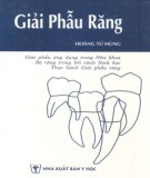 Nghiên cứu giải phẫu răng: Phần 1