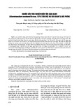 Nghiên cứu thực nghiệm nuôi tôm càng xanh (Macrobrachium rosenbergii De man, 1879) toàn đực hai giai đoạn tại Hải Phòng