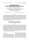 Đặc điểm hình thái và giải phẫu của một số mẫu giống rau đắng đất (Glinus oppositifolius (L.) DC.)