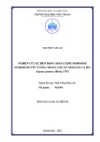 Tóm tắt luận án Tiến sĩ Nuôi trồng Thủy sản: Nghiên cứu sự biến động hàm lượng hormone steroid huyết tương trong chu kỳ sinh sản cá dìa Siganus guttatus (Bloch, 1787)