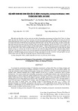 Đặc điểm sinh học sinh sản của cá dảnh (Puntioplites proctozystron Bleeker, 1865) ở Búng Bình Thiên, An Giang