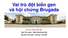 Bài giảng Vai trò đột biến gen và hội chứng Brugada - ThS. Bs. Trần Tuấn Việt