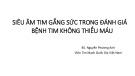 Bài giảng Siêu âm tim gắng sức trong đánh giá bệnh tim không thiếu máu - BS. Nguyễn Phương Anh