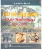 Lịch sử và di sản tiểu thủ công nghiệp tỉnh Thái Bình (1954 - 1995): Phần 2