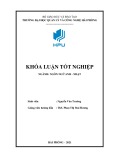 Khóa luận tốt nghiệp Ngôn ngữ Anh-Nhật: Difficulties in translating financial news into Vietnamese